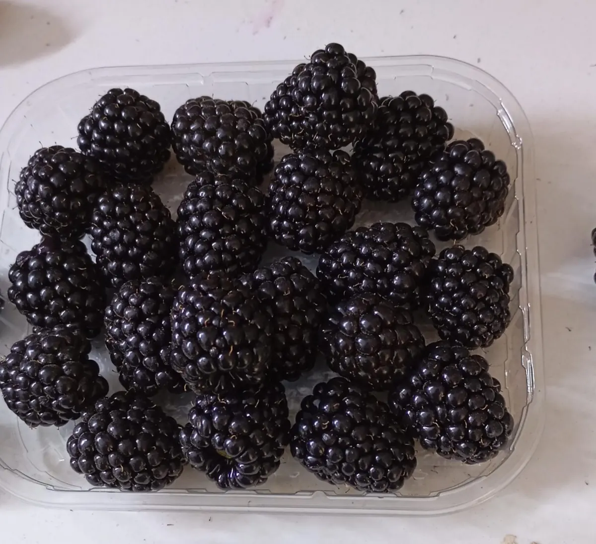 Blackberries photo 1