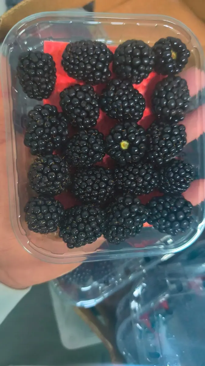 Blackberries photo 3