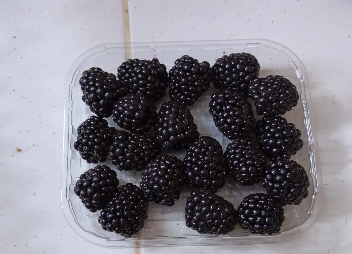 Blackberries photo 4