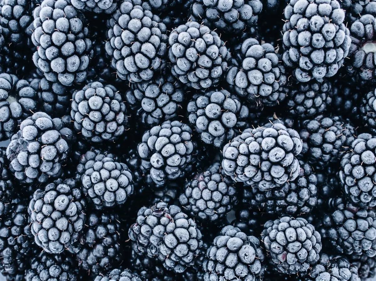 Frozen Blackberries photo 1