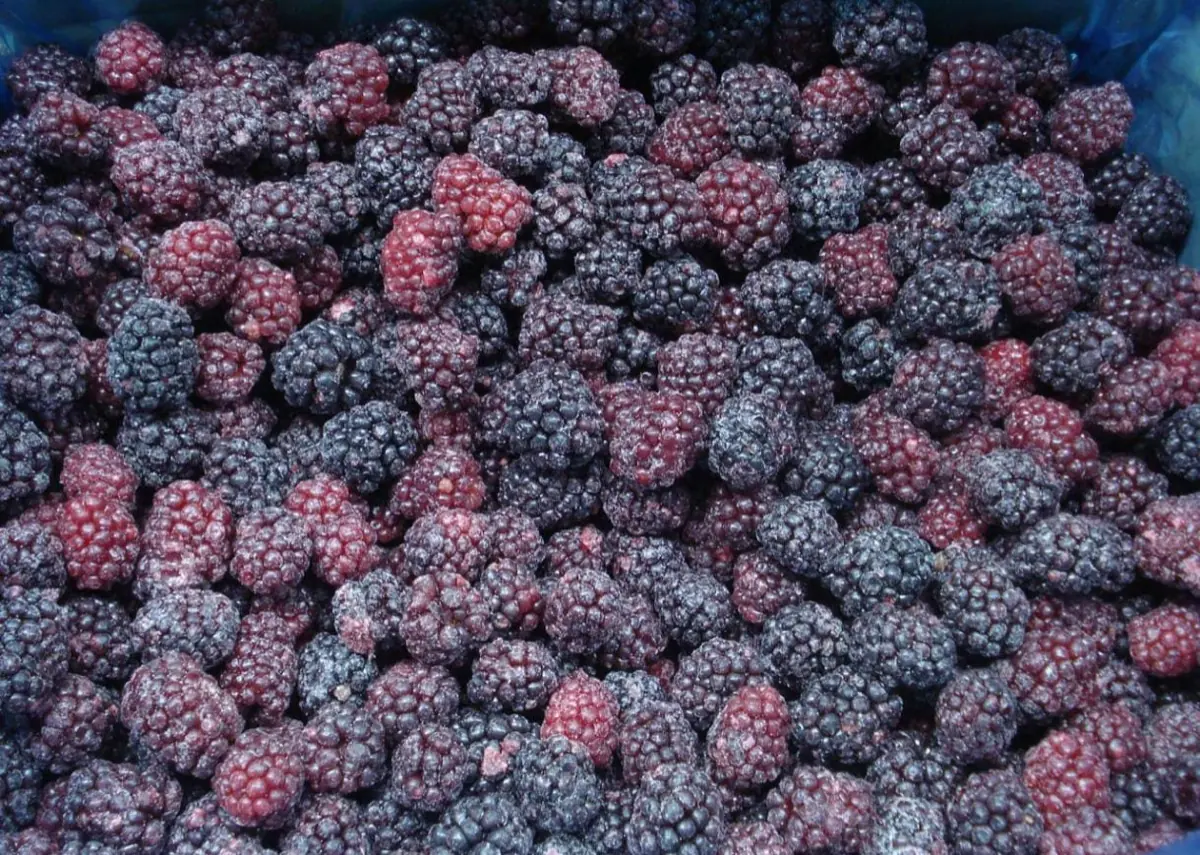 Frozen Blackberries photo 2