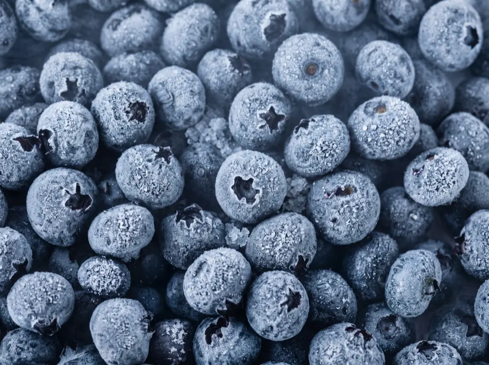 Bag of IQF frozen blueberries