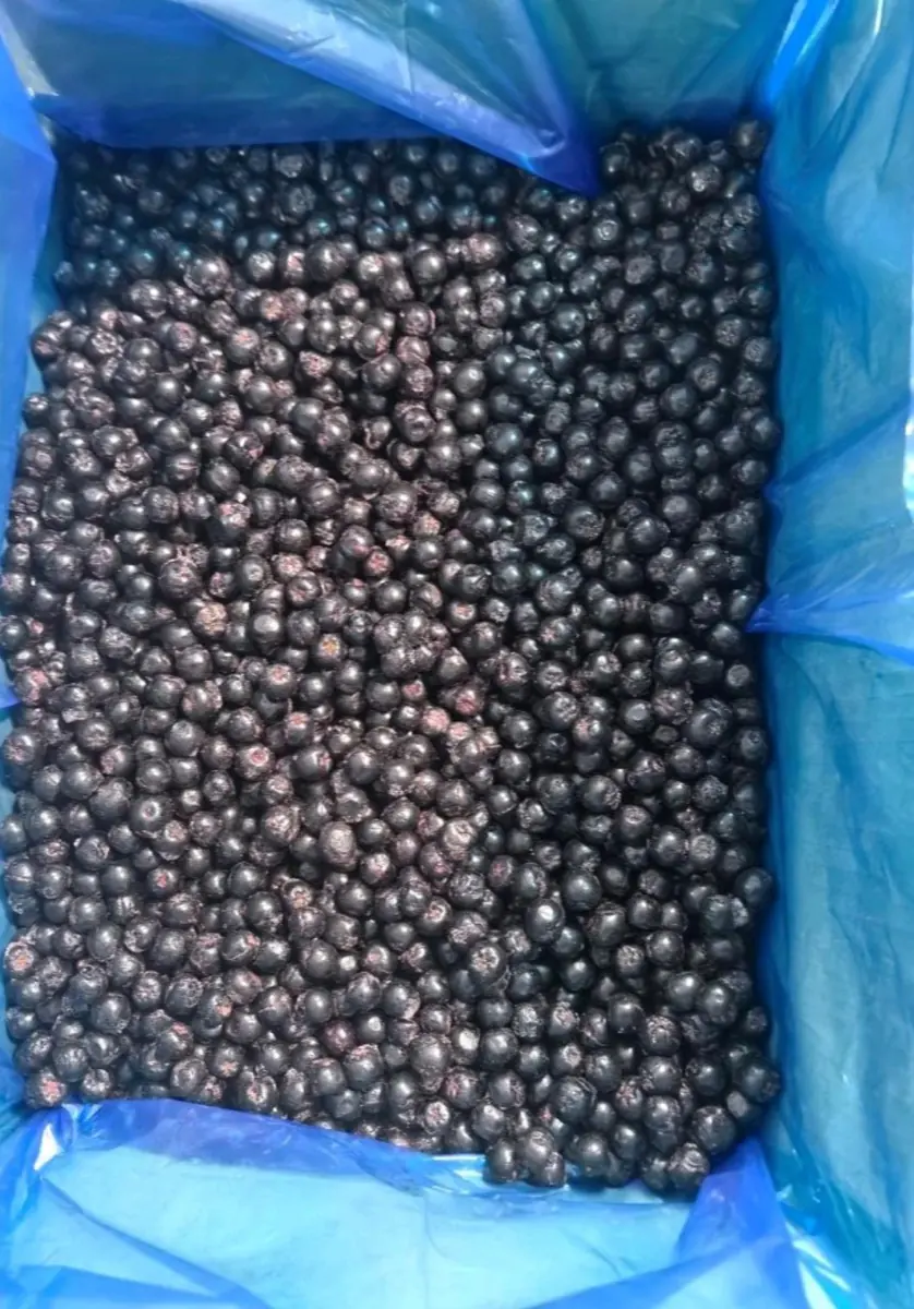 Frozen Blueberries photo 2