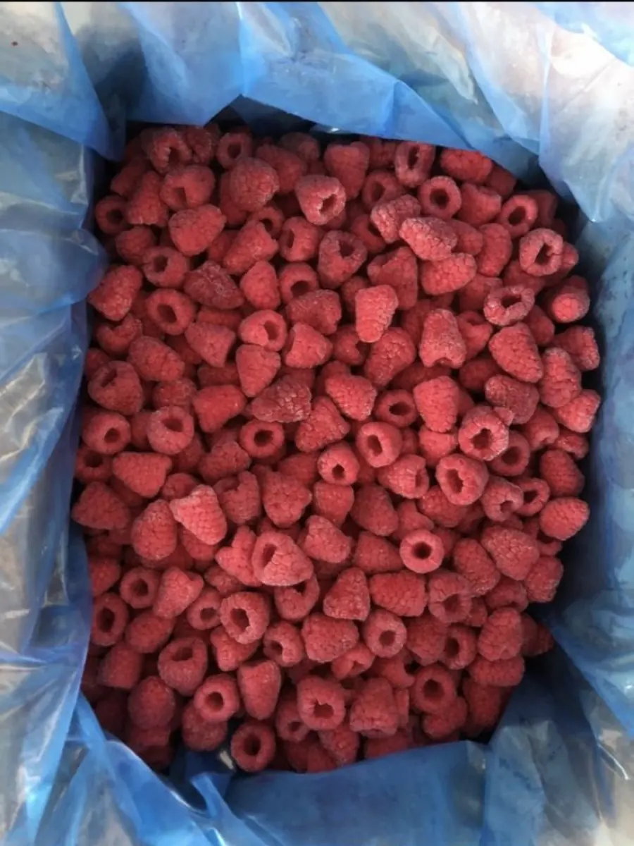 Frozen Raspberries photo 2