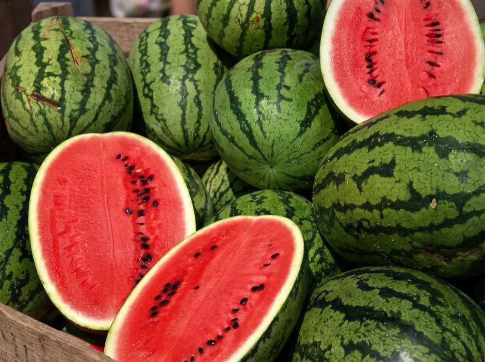 Fresh Moroccan watermelons, whole and halved