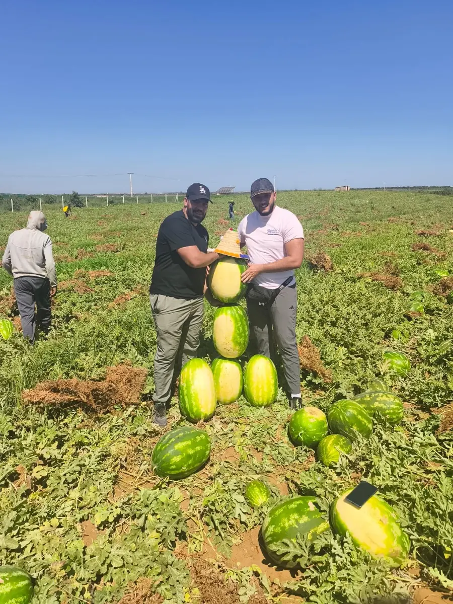 Watermelon photo 4