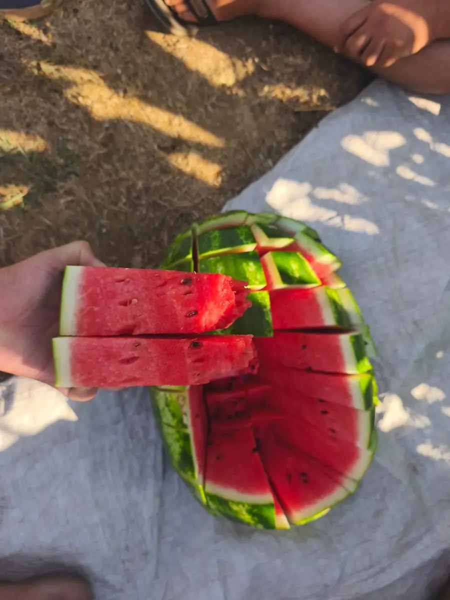 Watermelon photo 5