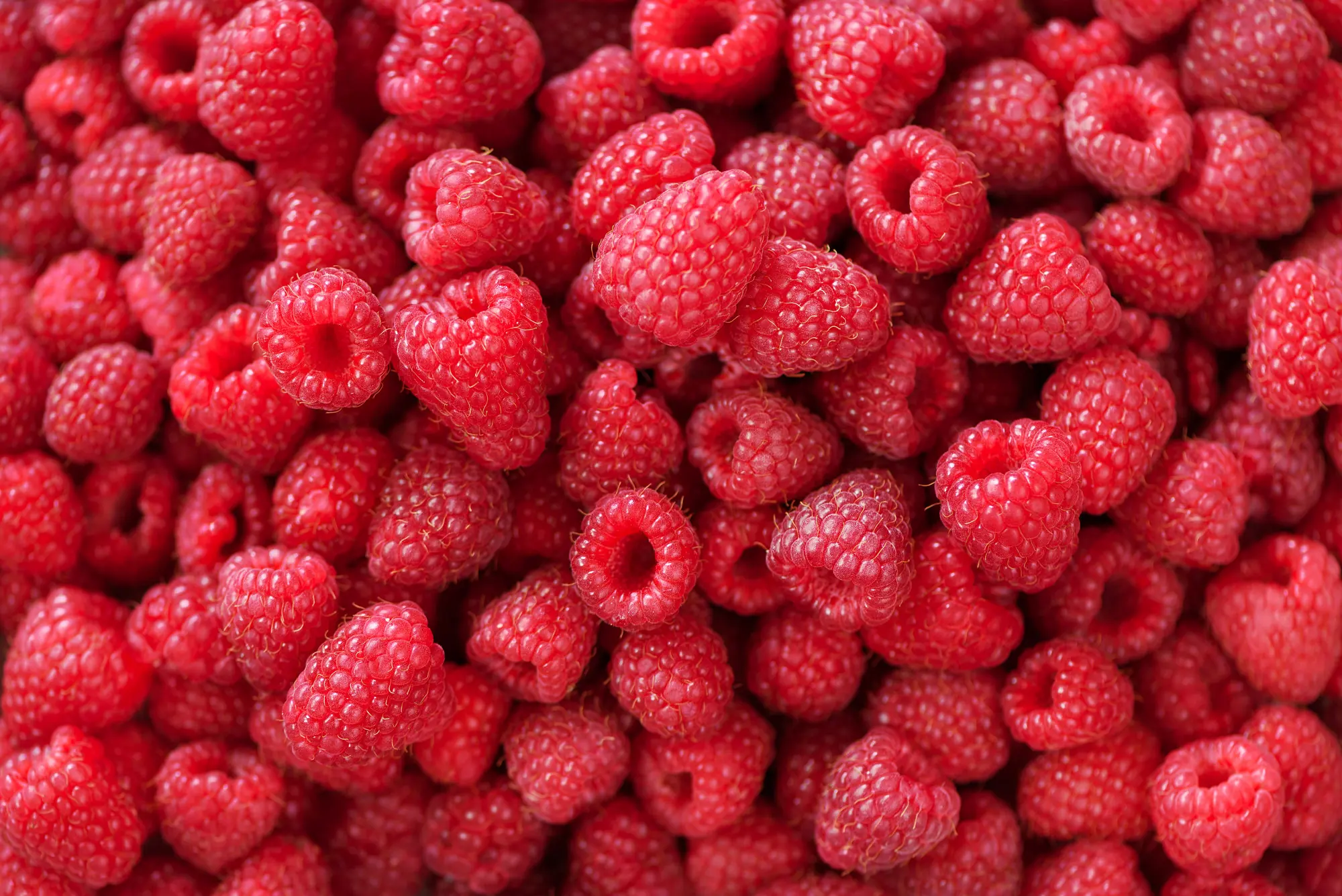 Fresh Moroccan raspberries