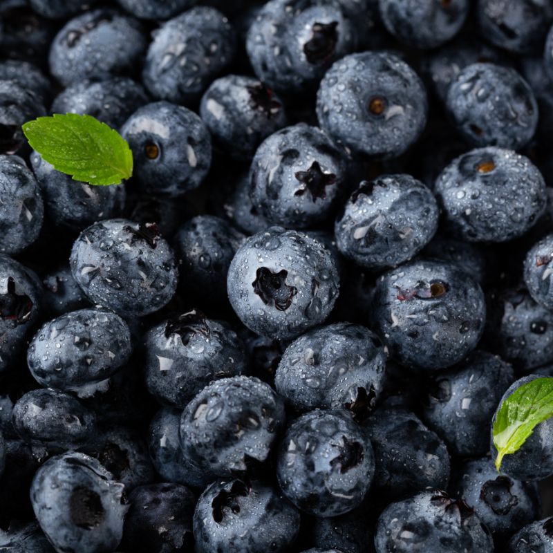 Crate of fresh Moroccan blueberries