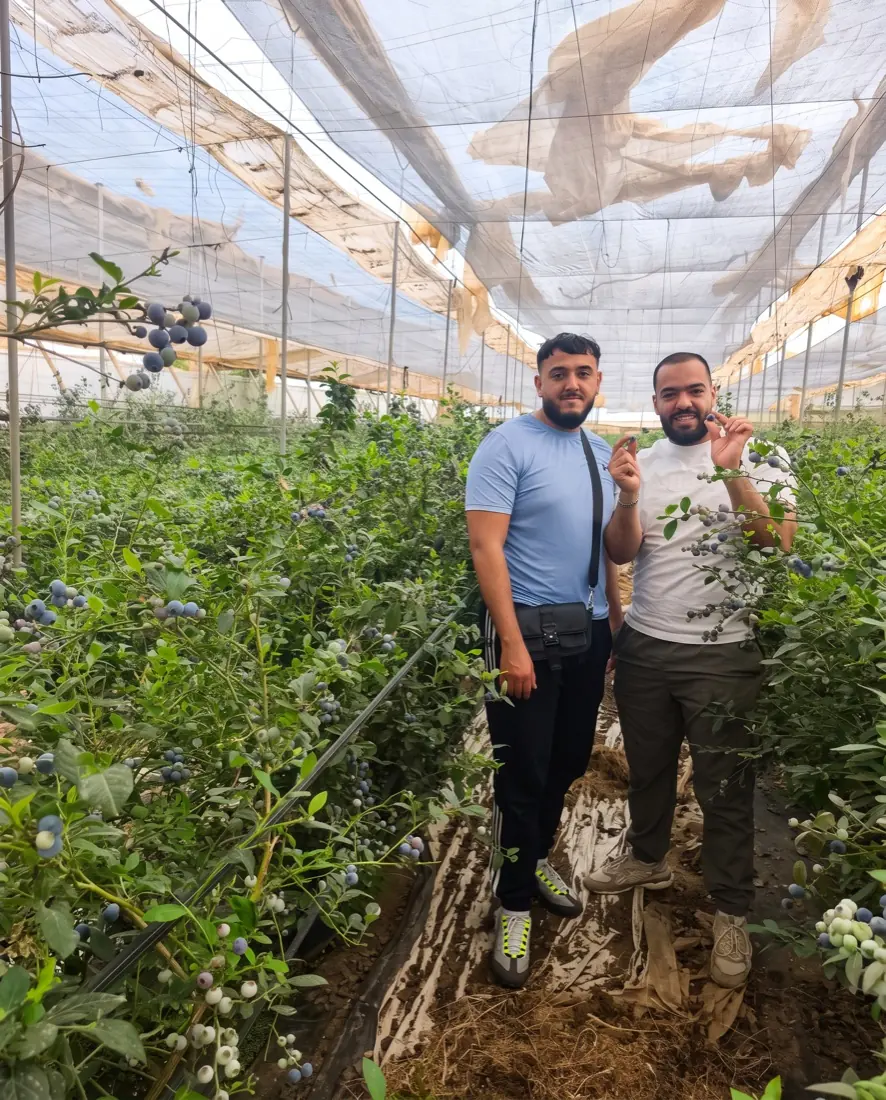 The Cherradi Fresh team in a blueberry greenhouse